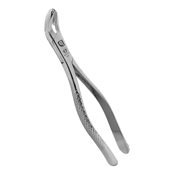 #17 Surgical Forceps