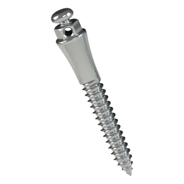 Stainless Steel Orthodontic Mini Implant – First Dental